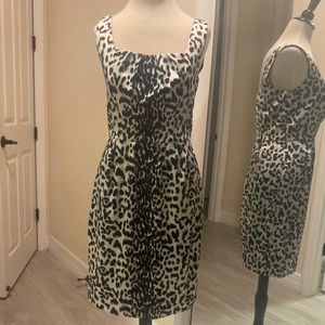 WHBM Leopard Print Dress Size 4